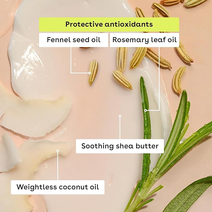 eos Holiday Lip Balm Sphere Gift Set, Sugar Plum Spritz, Candy Apple, Candy Cane Swirl, Limited Edition Lip Care, Natural Shea Butter, 0.25 oz, 3-pack