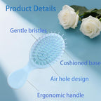 12 pcs Mini Hair Brush,Travel Detangling Brush with Exquisite Packaging Box,Mini Brush for Most Hair Types,Bridesmaid Party Christmas Stockings Filling Wet Hair Brushes (Multicolor)