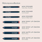 trestique Mini Eye Makeup and Lip Makeup Set