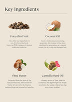 Braid Rev Scalp Sleeping Oil Balm, Korean Scalp Treatment, Balm-to-Oil Formula, Nourishing for Dry Scalp with Coconut Oil & Shea Butter, Reduces Excess Oil & Strengthens Hair Roots, 2.65 oz