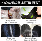 Hair Dye Color Shampoo (7 Colors Available to Choose) 500mL each (CHESTNUT BROWN, 500mL)