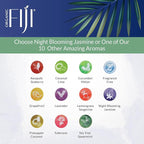 Coco Fiji Face & Body Lotion Infused With Coconut Oil | Lotion for Dry Skin | Moisturizer Face Cream & Massage Lotion for Women & Men | Night Blooming Jasmine 12 oz, Pack of 3