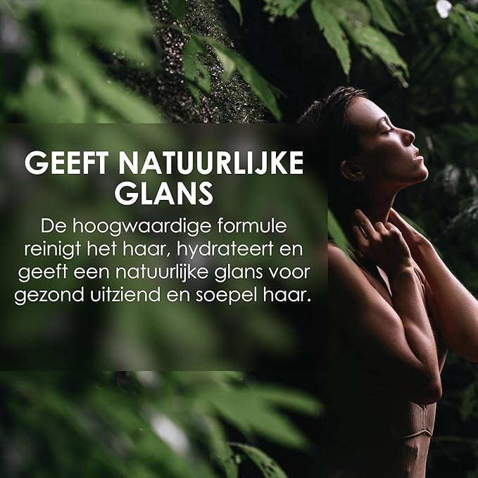 Jean & Len Shampoo Rosemary & Ginger, for dry and brittle hair, with moisturizing complex, spicy-fresh scent of rosemary & ginger, without parabens and silicones, 10.14 Fl. Oz.