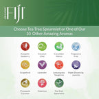 Coco Fiji Face & Body Lotion Infused With Coconut Oil | Lotion for Dry Skin | Moisturizer Face Cream & Massage Lotion for Women & Men | Tea Tree Spearmint 12 oz, Pack of 1