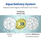 8 THE THALASSO Natural Hair Oil for Women & Men, Anti Frizz Serum by Glycerin, Lecithin, Squalane, Rosemary, Peppermint & Tea Tree, Hair Oil Treatment by Japan, Paraben & Sulfate Free 3.38 Fl Oz MOIST