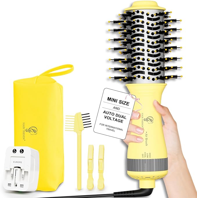Portable Mini Travel Blow Dryer Brush for Women, Light Weight Dual Voltage 110V-120V/220V-240V Hot Air Brush with International Power Adaptor