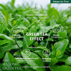 Green Tea Sleeping Mask 75ml – Rich Moisture Night Mask, Hypoallergenic, Calms Redness, Deep Hydration for Sensitive Skin, Non-Sticky Korean Skincare