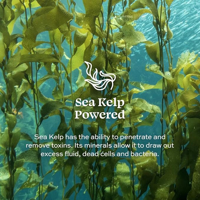 Aleavia Cranberry Prebiotic Body Lotion – Lightly Scented, All-Natural Moisturizing Seasonal Body Lotion with Organic Essential Oils – 12 Oz