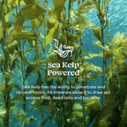 Aleavia Cucumber Melon Prebiotic Body Lotion – Lightly Scented, All-Natural Moisturizing Body Lotion with Organic Essential Oils – 12 Oz