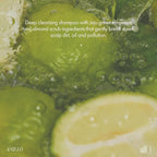 Lime Sunday Refresh Shampoo with Vitamin C, Korean Jeju Tangerine, Mint & Almond Powder for Oily Scalp Care – Exfoliating, Deep Cleansing, Lime Citrus Scent, Silicone & Paraben-Free (15.22 fl.oz)