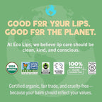 LIP BALM Mongo Kiss 6-Pack (6 tubes) Vanilla Honey by Eco Lips 100% Organic Beeswax & Cocoa Butter Lip Care with Organic Mongongo Oil - Soothe & Moisturize Dry and Cracked Lips - Made in USA