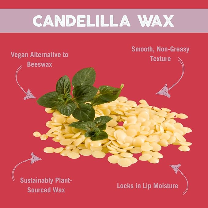 Eco Lips Vegan Superfruit Bee Free Lip Balm Includes Candelilla Wax, Organic Cocoa Butter and Coconut Oil. 100% Plastic-Free Plant Pod Packaging. 3-Pack