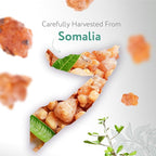 HBNO Myrrh Essential Oil - 1/3 oz (10 ml) Travel Size - Natural Myrrh Oil - Perfect for Cleaning, Aromatherapy, DIY, Soap and Diffuser - Myrrh Essential Oils