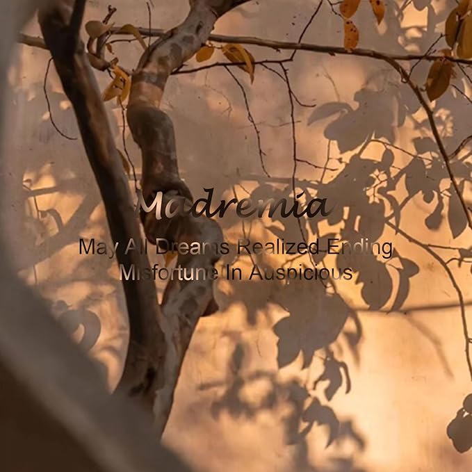 Travel Dual Voltage Hair Dryer Brush 4-in- 1,Portable Mini Hot Air Blow Dryer Straightener & Curler Brush,Titanium Oval Blowout Styler Volumizer Tools-Dark Chocolate