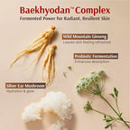 Sooryehan Hyobidam Fermented Bundle Gift Set (14fl oz) - Hyobidam Korean Skin Care Gift Set with Toner, Emulsion, Essence, Cream, Eye Cream, Mask & Foam,. Wild Ginseng Anti-Aging Hydration & Firming.