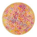 3200 Pcs Elastic Rubber Bands Small Hair Ties Hair Rubber Mini Hair Bands Hair Elastics Tiny Soft Holder Ponytails for Girls (Candy Color with dots)