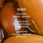 ALFHEIM Argan+ Repairing Shampoo for Dry, Damaged & Frizzy Hair with Moroccan Argan Oil, Keratin, Panthenol & Vitamin E – Deep Repair, Moisture & Shine – Color Safe, Sulfate Free – 33.8 oz