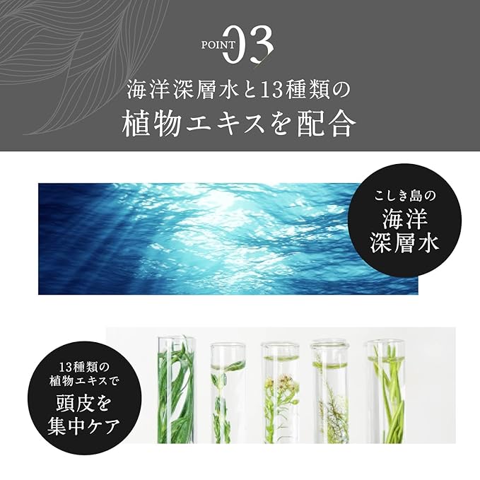 Kiwabi Root Vanish Anti Gray Hair Serum – Lightweight Daily Scalp Serum to Support Repigmentation – Hair Serums for Women & Men with Biomimetic Peptide, Ginseng, B12 – No Sulfates, No Parabens (30ml)