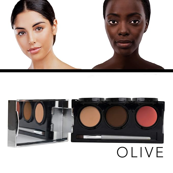 Dermaflage Tattoo Cover Up Makeup (Olive) - Bruise Full Coverage Concealer - Full Coverage Waterproof Concealer for Bruise, Scar & Acne - Smudge Proof Body Makeup Palette with 3 Pro SFX Shades + Brush