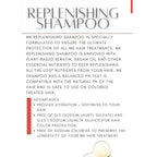 MK PROFESSIONAL Argan Oil Repair Shampoo for Dry Damaged Hair, Sulphate Free Keratin Hair Treatment, Moroccan Shampoo for Women & Men, Hydrating and Nourishing (All Hair Types) - 10.1 Fl Oz / 300 ml