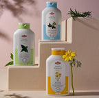 OTACI Herbal Ivy Shampoo – Deep-Cleansing, Vegan Formula Infused with Rosemary, Sage, Chamomile & Mint for Stronger, Shinier, Healthier Hair (13.5 Fl Oz)