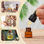 200 Pcs Mini Glass Oil Dropper Bottle Bulk, Clear Essential Small Empty Bottles Sample Containers Perfume Liquid Vials with Cap for Traveling (1 ml,Amber)