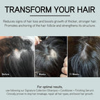 ILES FORMULA Scalp + Hair Rejuvenating Booster – Non-Greasy Hair Serum to Support Growth for Visibly Thicker, Stronger, Fuller Hair – Natural, Lightweight & Fast-Absorbing Scalp Serum with Procapil