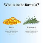 Rosemary and Biotin Shampoo for Thinning Hair - Vegan Volumizing Shampoo for Fine Hair with B Vitamins Argan Oil & Tea Tree Essential Oil - Paraben Silicone and Sulfate Free Vegan Formula (8 Fl Oz)