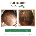 Kreyol Essence - Haitian Black Castor Oil for Skin and Hair, Glass Bottle - Cold Pressed, Hexane Free, Fuller-Looking Hair, Natural Humectant, Mango Papaya & Coconut, 3.4 Fl Oz