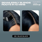 Clairol Root Touch-Up by Nice'n Easy Permanent Hair Dye, 2B Blue Black Hair Color, Pack of 1