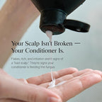 Dermazen Nourishing Conditioner | Hydrates, Smooths & Enhances Scalp Health | Dandruff & Seborrheic Dermatitis Safe | Frizz-Free Shine with MCT & Rosemary Essential Oil | For All Hair Types | 8 fl oz