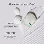 Dr. Groot Thickening Shampoo & Conditioner Set for Hair Loss – Clinical Results with Biotin and Rosemary for Hair Thinning, Shedding, Scalp Repair and Treatment