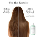 VoCÊ Haircare Gentle Wash Vegan & Cruelty-Free Shampoo | Clean Haircare, Color Safe, Paraben and Sulfate Free, Ultra Radiance, Hydrating, Shine Enhancing (8.5 oz | 250 ml)