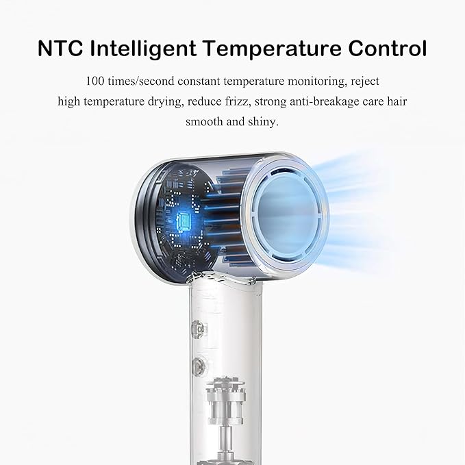 Professional Ionic Hair Dryer with Brushless Motor, High-Speed 110000 RPM Low Noise Temperature Control Portable Negative Ionic Blow Dryer with Concentrator Nozzle for Home, Travel and Salon