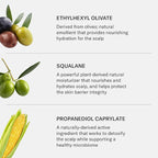 SEEN Restore Scalp Serum, Fragrance-Free - Clinically Proven, Dermatologist-Developed Hydrating Serum, Promotes Healthy Scalp, Safe for Sensitive & Eczema-Prone Skin