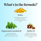 Volumizing Biotin Conditioner for Thinning Hair - Volumizing Conditioner for Fine Thin & Weak Hair - Sulfate Paraben & Silicone Free Hair Conditioner Nourishing Plant Proteins & B Vitamins (Mint)