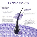 ALFHEIM Lavender+ Purple Shampoo for Blonde, Silver & Color-Treated Hair – Neutralizes Brass & Yellow Tones, Brightens Cool Shades – with Quinoa Extract & Vitamin E – Sulfate Free – 18 oz