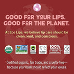 Eco Lips LIP SUGAR SCRUB 2 Pack (2-0.5oz jars) 100% Organic Lip Care Treatment with Organic Sugar & Coconut Oil - Gently Exfoliate & Polish Dry, Flaky Lips, 100% Edible (Vanilla Bean & Brown Sugar)