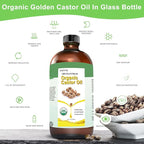 Organic Castor Oil for Body, Hair & Lashes Brow, USDA Certified 100% Pure Natural Glass Bottle, Cold Pressed, Hexane Free. Castor Oil for Hair Growth, Thicker Fuller Brows, 16.9oz