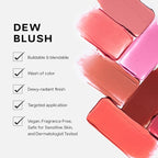 Saie Dew Liquid Blush for Cheeks - Hydrating Cream Blush Stick with a Blendable + Buildable Formula - Skincare Infused Dewy Cheek Tint for a Natural Flush - Glowy Makeup Essential - Lady (.40 oz)