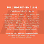 Handmade Heroes 100% Natural Vegan Tinted Lip Gloss with Hyaluronic Acid - Lightweight Moisturizing Soft Lipstick for Dry Lips Christmas Gifts - 4pc set Stocking Stuffers