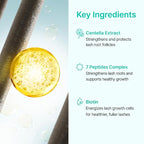 Korean Eyelash Growth Serum | Eyebrow Enhancer for Longer and Thicker | Biotin, Peptides & Centella | Prostaglandin-Free, Non-Irritating | Dual Applicator | Korean Skincare | 0.3 fl oz (10 ml)