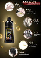 Hair Dye Color Shampoo (7 Colors Available to Choose) 500mL each (WINE RED, 500mL)