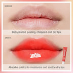 Erinde 3 Colors Lip Butter Balm Lips