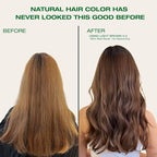 Naturigin Permanent Hair Dye, 5.0 Light Chocolate Brown – Ammonia Free, 100% Gray Coverage, Vegan, Salon Quality Hair Dye