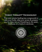 SPA CEYLON ForestVeda - Calming Body & Pillow Mist, Aromatherapy Stress Relief, Natural - Organic, Natural Body Mist & Room Spray 100ml