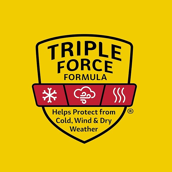 Carmex Classic Medicated Lip Balm Pack, Lip Moisturizer for Chapped Lips, 9-Count Variety Pack Bag (3 Tubes, 3 Sticks, 3 Jars)