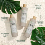 Organic Jaguar Natural Shampoo for Hair Care, Sulfate Free Shampoo with Castor Oil, Jasmine, Glycerin, Aloe Vera & Mild Thickening Agent, Dry to Color Treated to All Hair, 13.5 fl oz