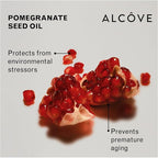 Alcôve - Violet Shampoo - Evening Primrose Oil, Mango Extract, and Argan Oil - Sulfate-Free - Blonde Hair - Colored Hair - Neutralize Yellow Tones - Refresh Highlights - Color-Safe -10oz