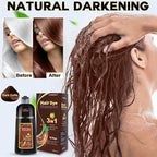 IIIMEIDU Hair Dye Shampoo 3 in 1 for Gray Hair, Herbal Ingredients Shampoo Dark Coffee Hair Dye for Women Men, Grey Coverage 500ml
